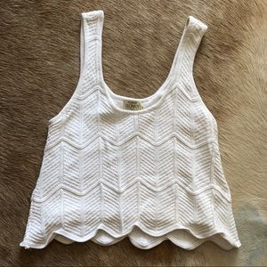 Torn by Ronny Kobo White Knit Crop Top